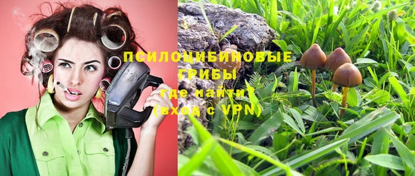 дурь Абдулино