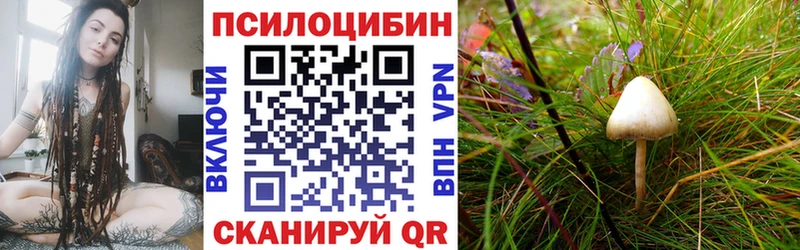 Псилоцибиновые грибы Psilocybine cubensis Спас-Клепики