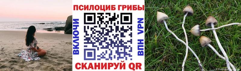 Псилоцибиновые грибы мицелий  даркнет формула  Спас-Клепики 