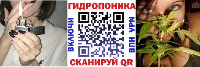 где купить наркоту  Спас-Клепики  Конопля SATIVA & INDICA 